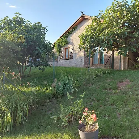 Holiday home Des Vignes Au Calme, 2 Ch, Terrasse, Animaux Admis, Parking, Recharge Ve - Fr-1-584-164 *